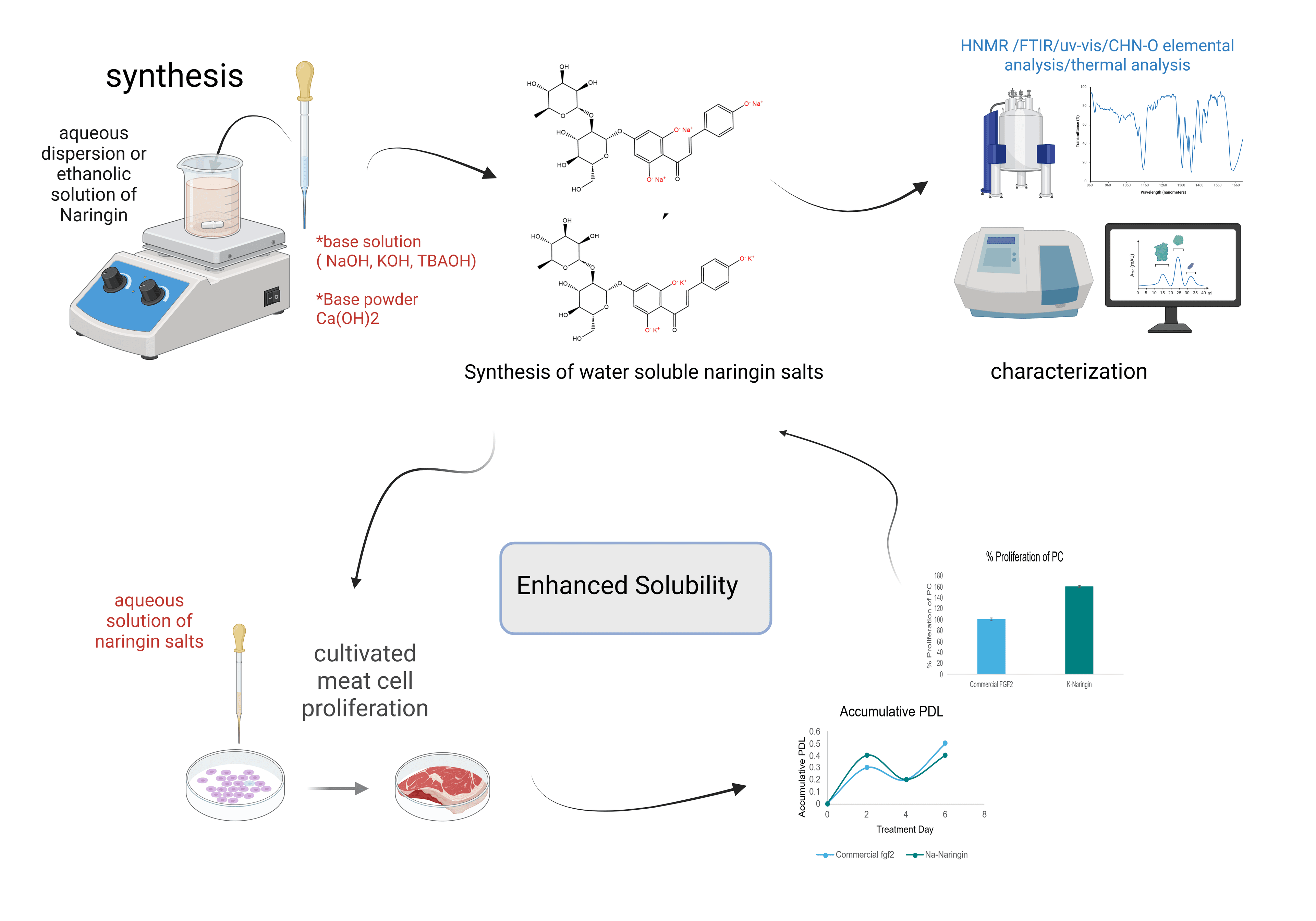 Schematic of naringin phenolate salt synthesis, solubility, and cell proliferation